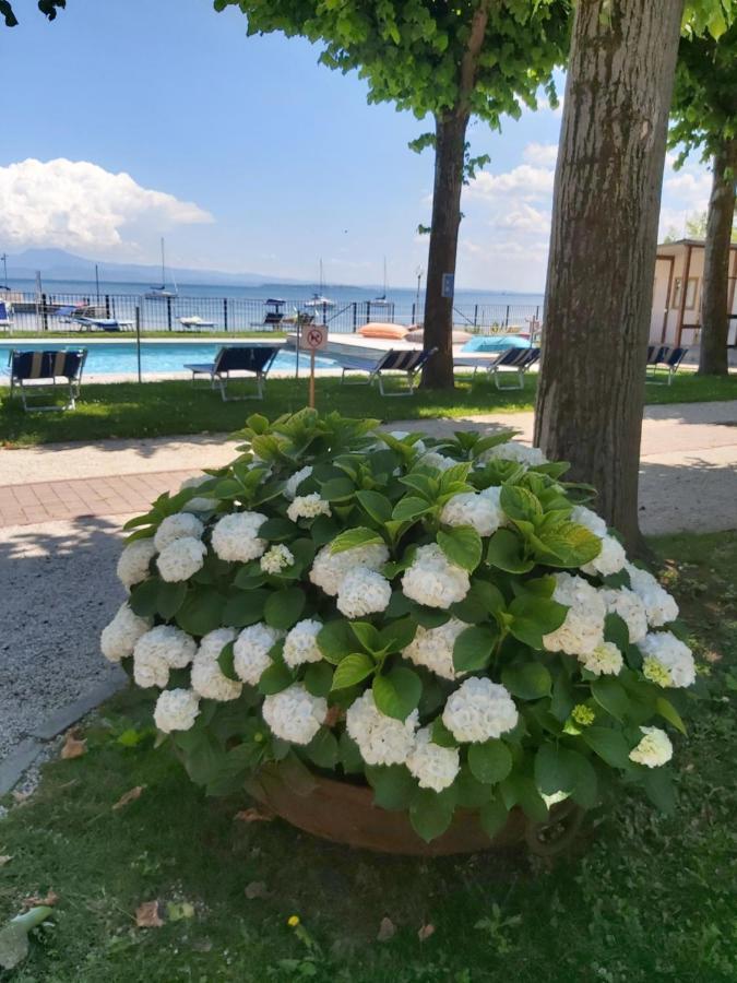 Villaggio Turistico Dei Tigli Паденге-суль-Гарда Экстерьер фото